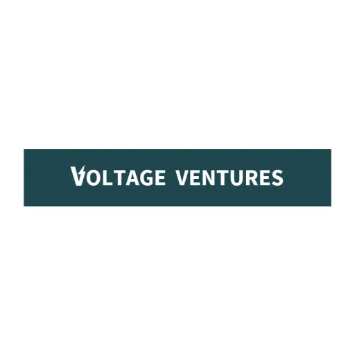 Voltage Ventures Fund I LP logo