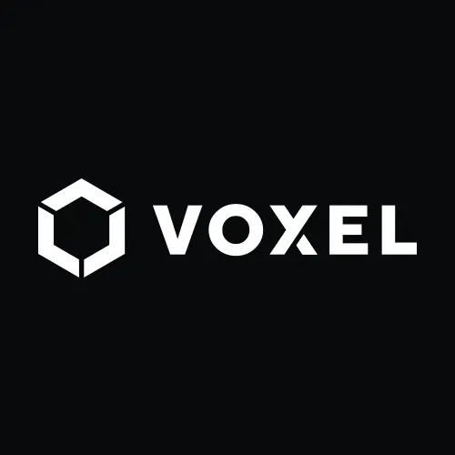 Voxel AI logo