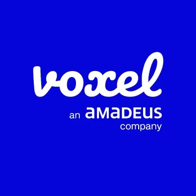 Voxel logo