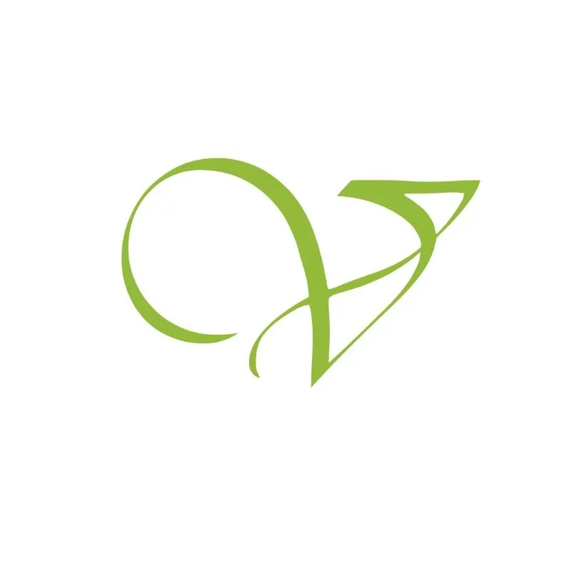 Vrittidesigns