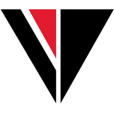 VueData logo