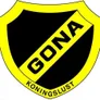 Logo V.V. Koningslust
