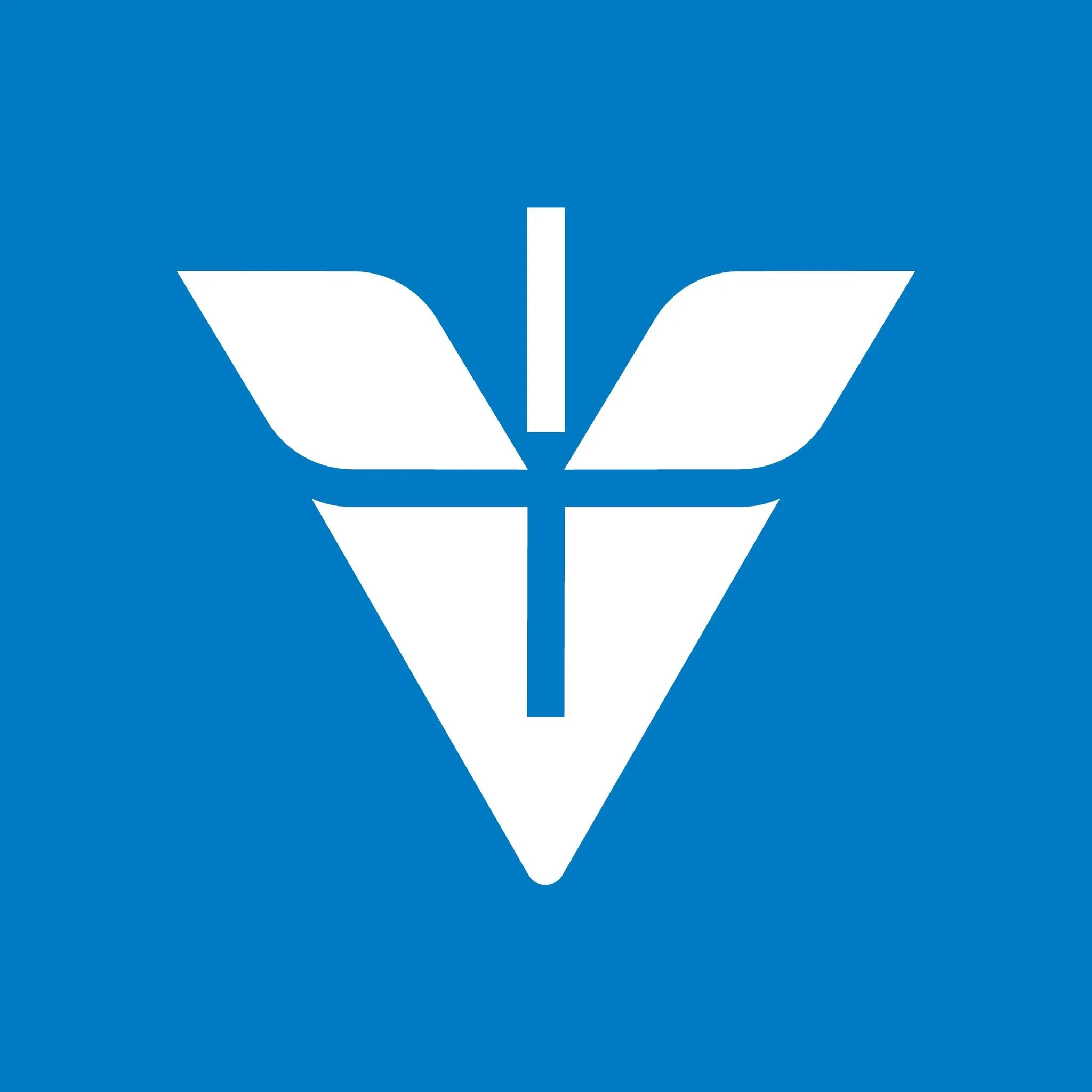 Vinzenz von Paul Hospital gGmbH