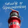 Logo RariteitenKabinet Gribus