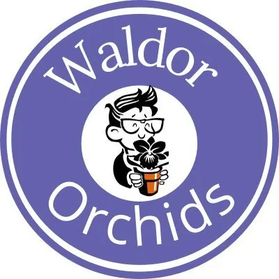 Waldor
