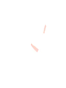 Walk Fit light logo