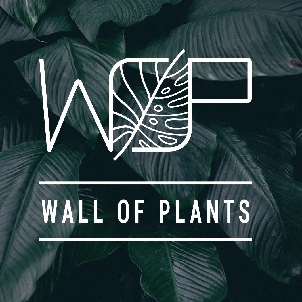 Wallofplantsshop