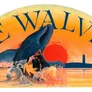 Logo Strandpaviljoen de Walvis