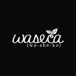 wasecabiomes logo