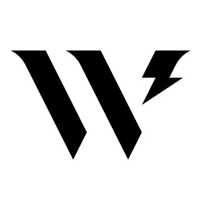 wearethewildco logo