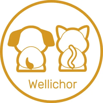 wellichor.com logo