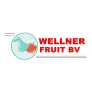 Logo Wellner Fruit