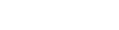 wfolio light logo