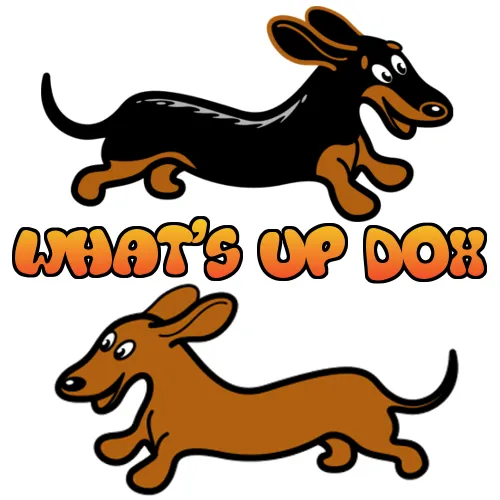 Whatsupdox