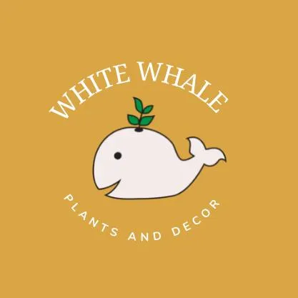 Whitewhaleplants