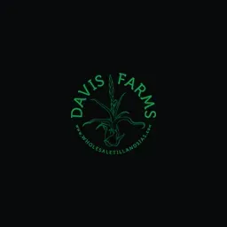 Wholesaletillandsias