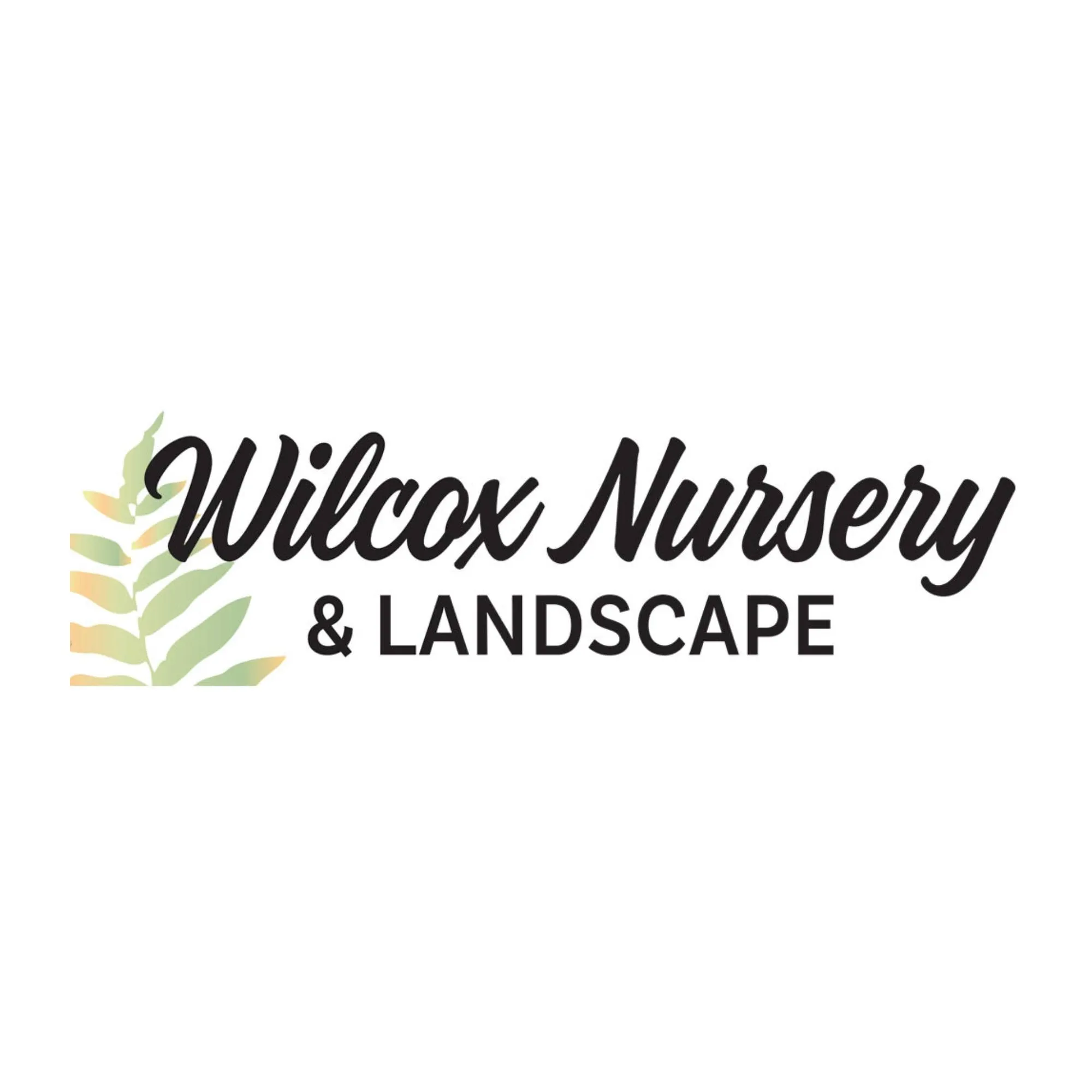 Wilcoxnursery