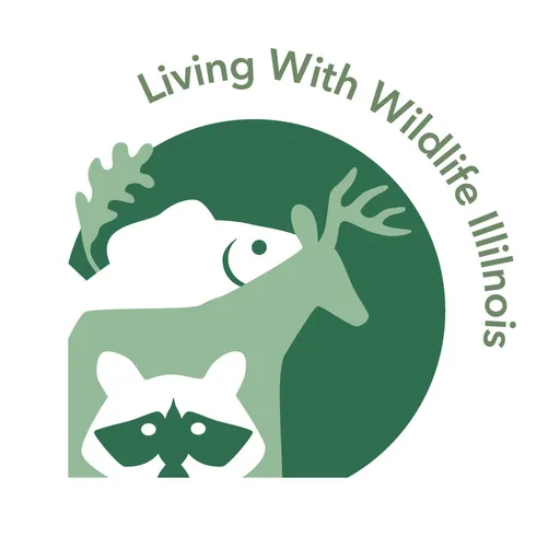 Wild Holdings LP logo