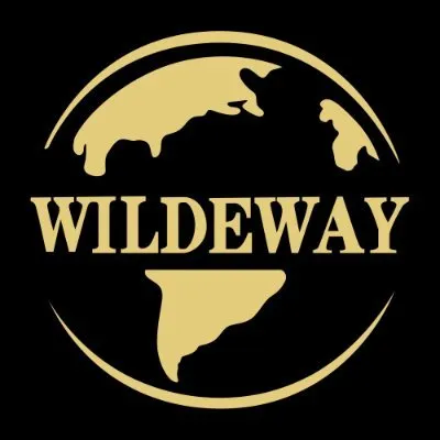 Wildeway Ebike