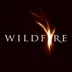 Wildfire International logo