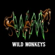 Wild Monkeys Pickleball logo