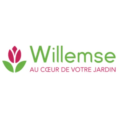 Willemse logo