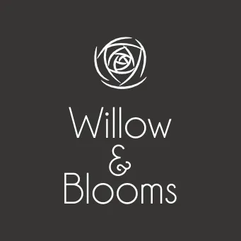 Willow Innovations logo
