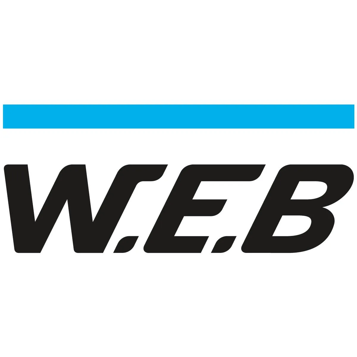 WEB Windenergie AG logo