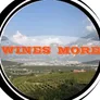 Logo Wines and More
