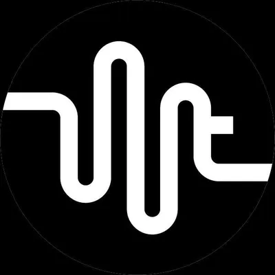 Wired Tunes logo