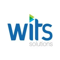 Wits Solutions Logo