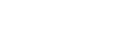 wix.com light logo
