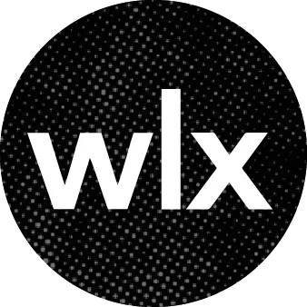 wizlynx group logo