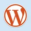 WordPress Plugins