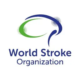 World Stroke Organisation (WSO)