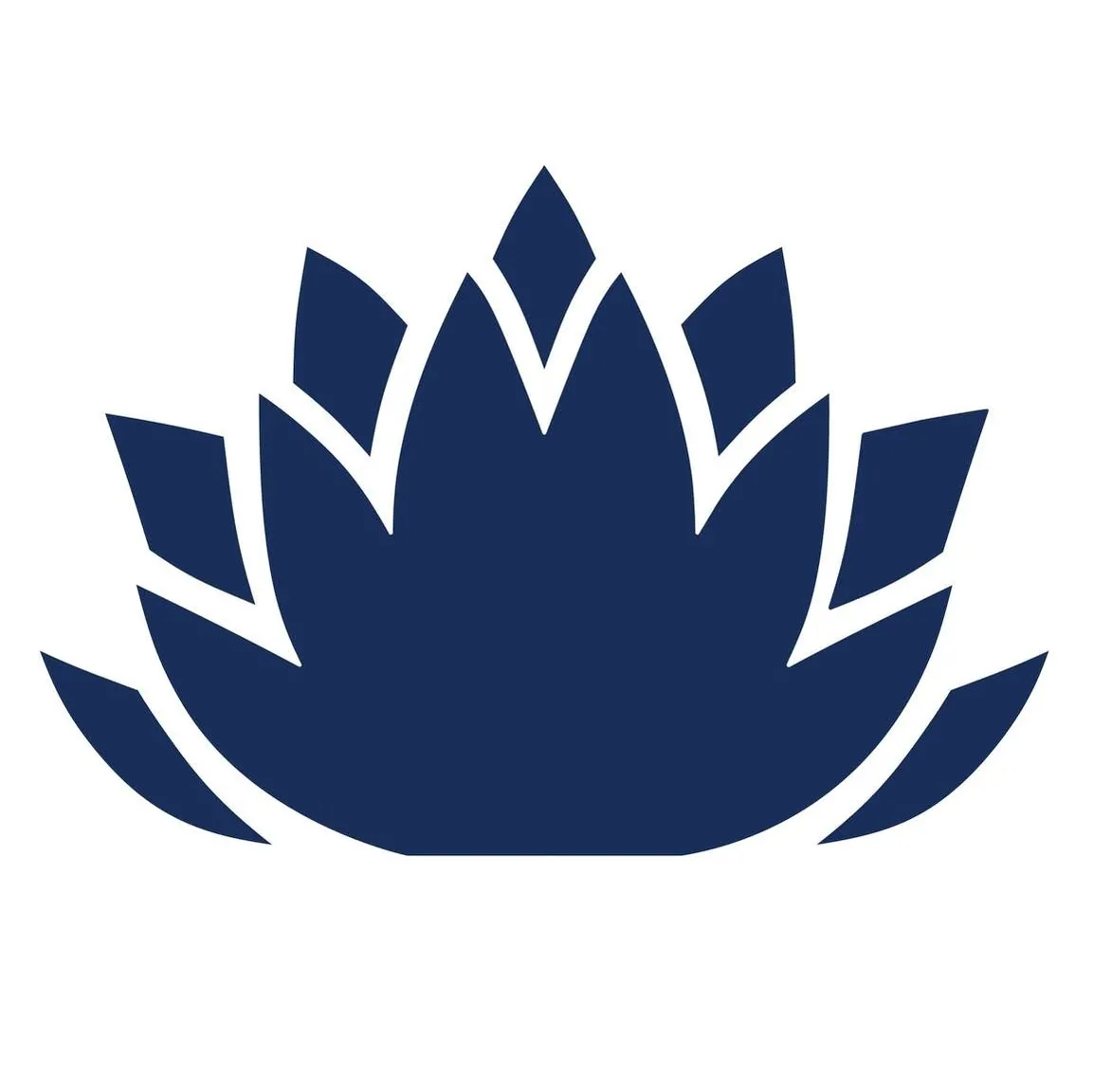 Arika Resources Ltd logo