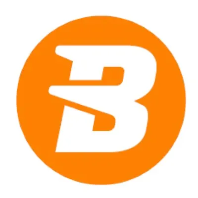 Babylon Pump & Power Ltd logo