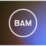 Bam Strategy logo