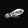 Big Footprint logo