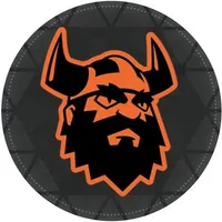 Big Viking Games's company logo