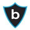 bizdetail web design logo