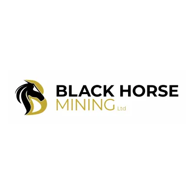 BLACKHORSE FPO [BHL] logo