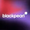 Black Pearl Group Limited logo