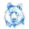 Blue Bear Tax Solutions logo