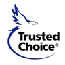 Brian Ruiz Insurance logo
