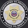 BrightStar Protective Services logo