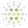 Celtic Chicago, Inc. logo