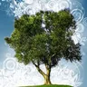 Cloudburst Design Studio logo