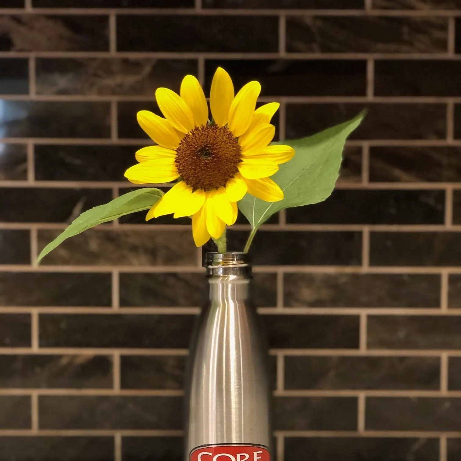 Core Molding Technologies Inc logo