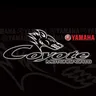Coyote Motorsports logo